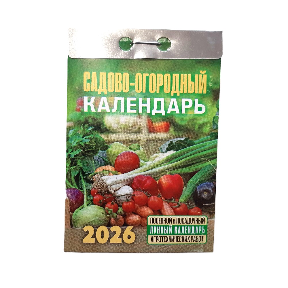 Отрывной календарь 2026 russische Abreißkalender – Bild 23